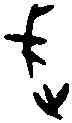 武,五期 佚 四二七,書法字典